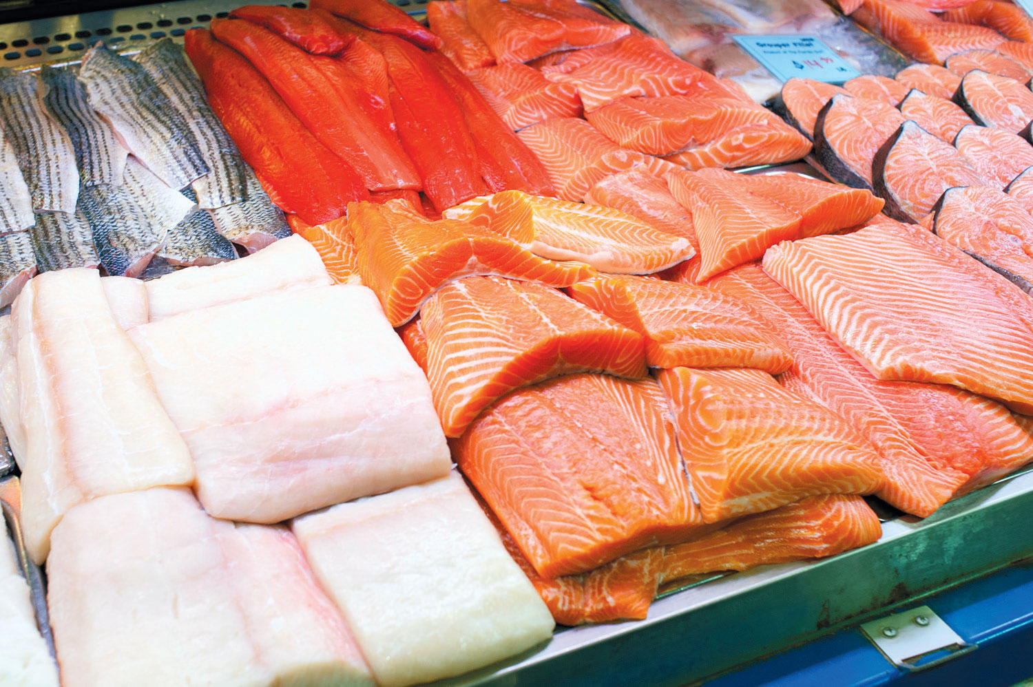Johnny Yi Fish Market
