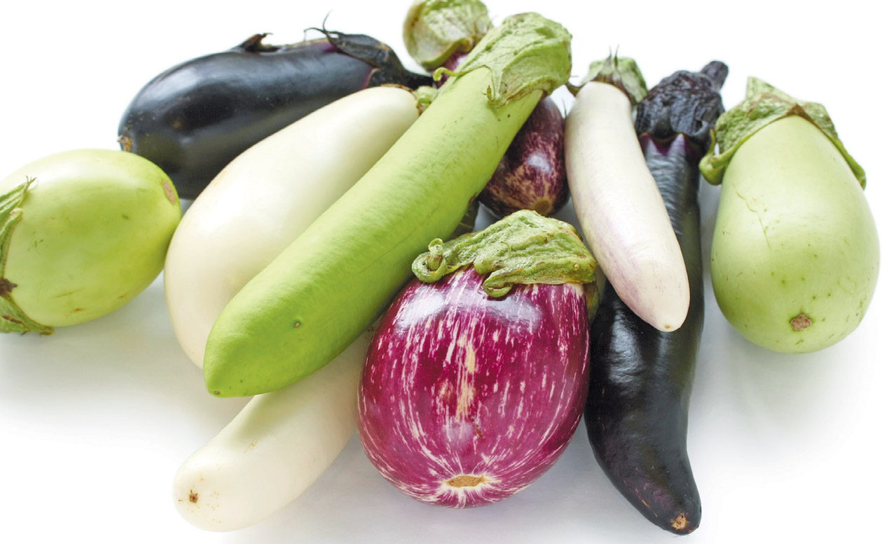 different kinds of eggplants