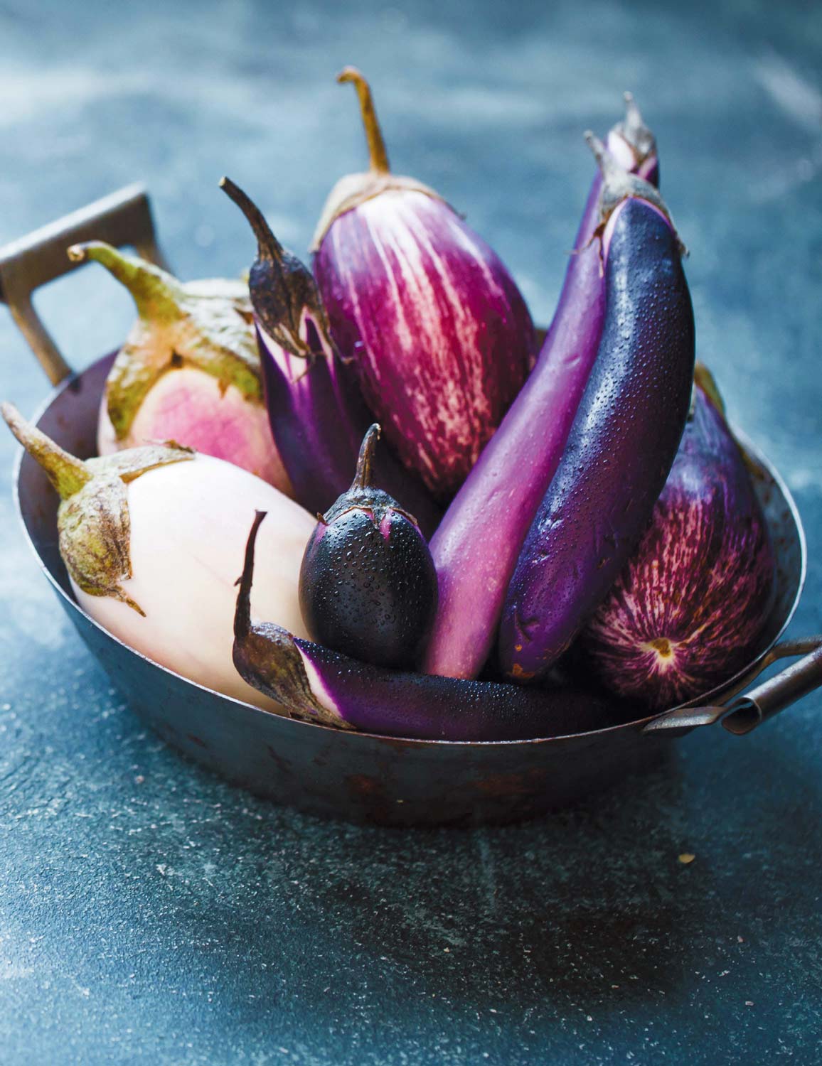 variety of eggplants