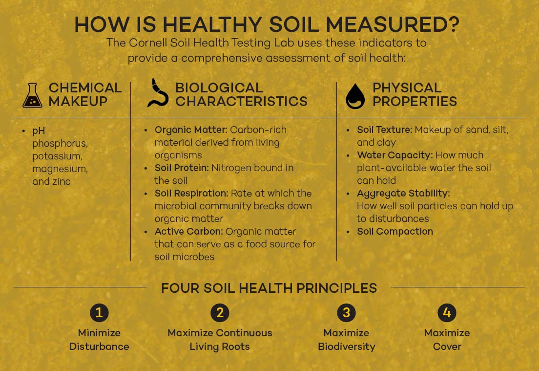 chart showing how healthy soil is measured