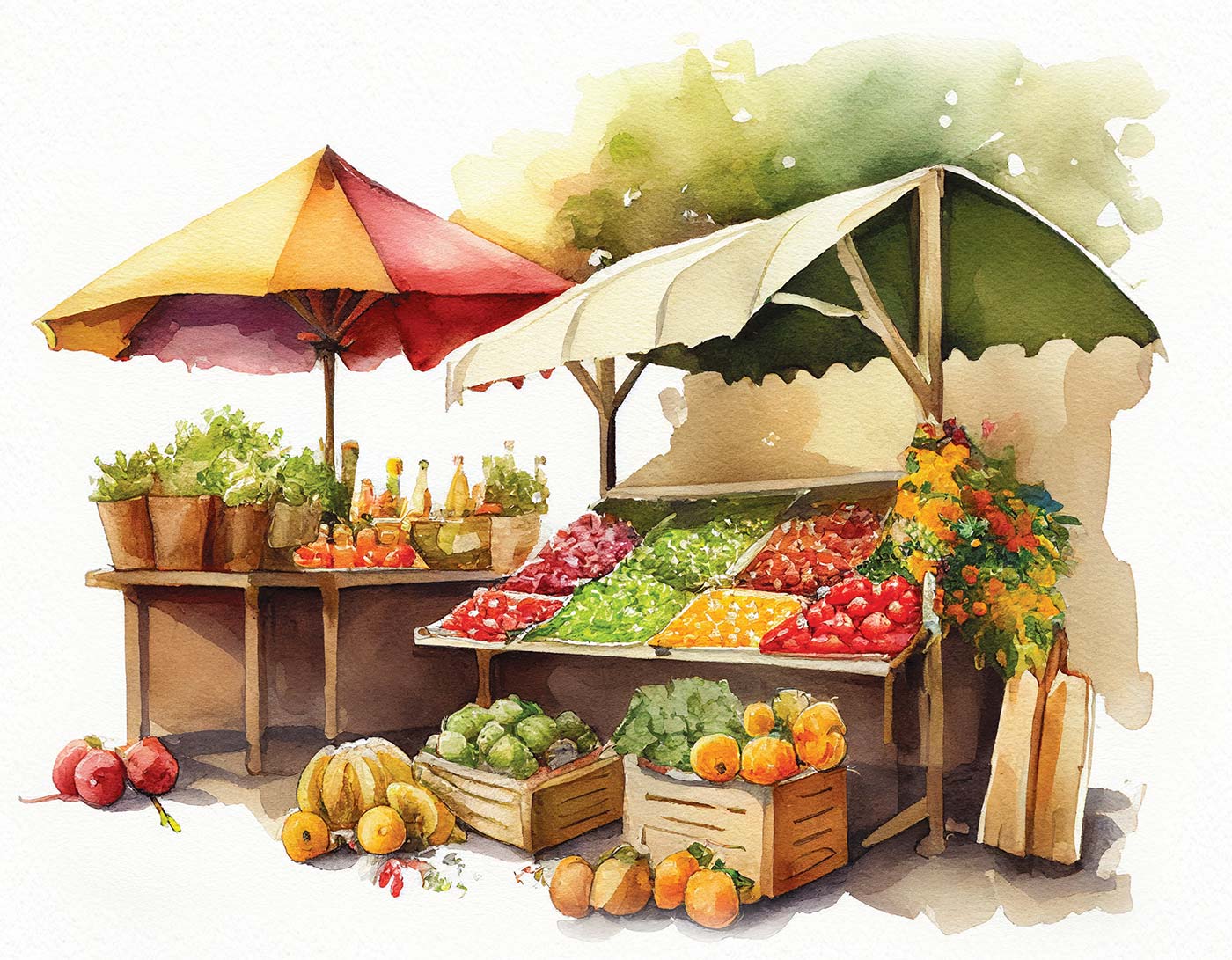 booth at a farmers market illustration