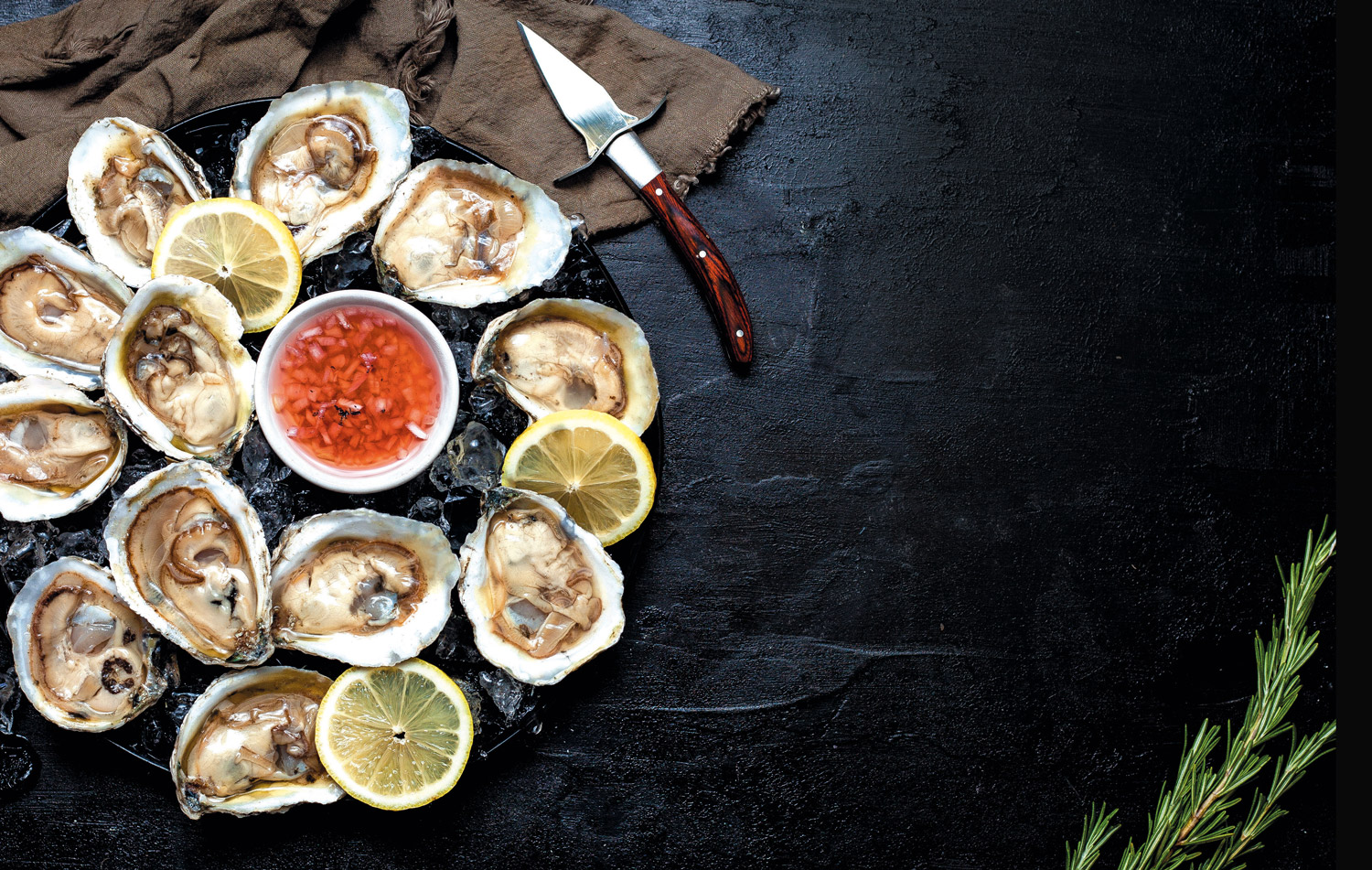 Plate of raw oysters