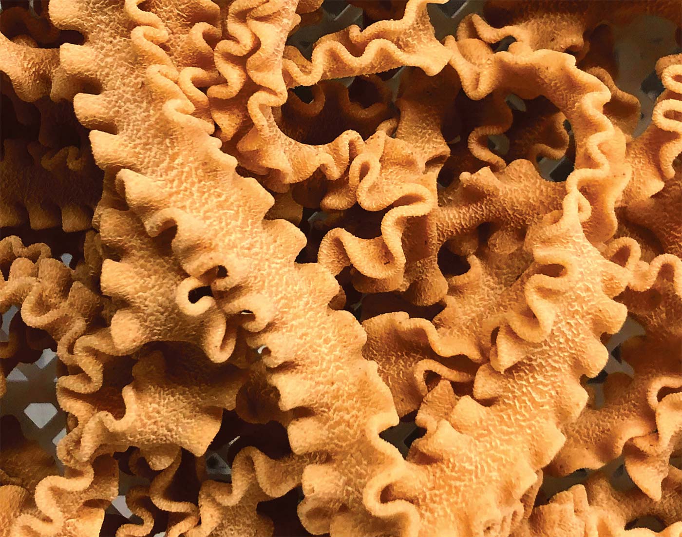 curly-edged pasta