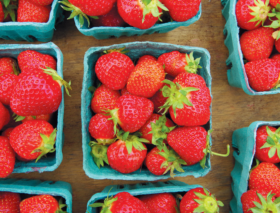 Seasonal Spotlight: Strawberries | Edible Philly