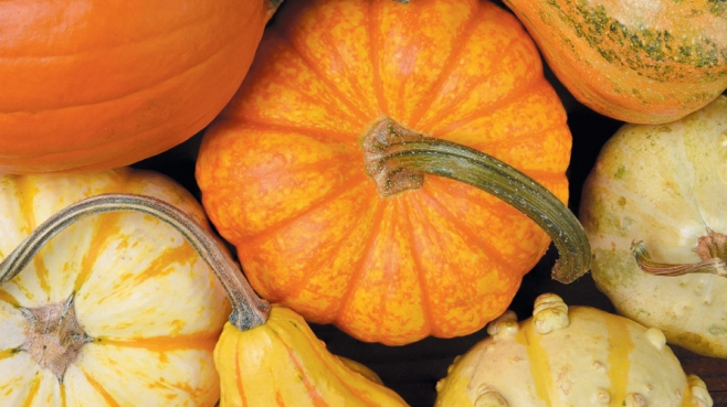 Fall vegetables - a selection of squash