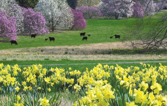 Morris Arboretum boasts 92 acres of gardens. Photo courtesy of Chestnut Hill Business District.