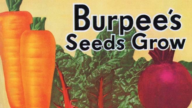 Burp's Seeds Grow