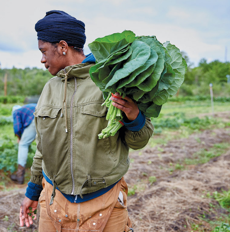 Sankofa Community Farm focuses on education, teaching neighborhood kids how to farm.