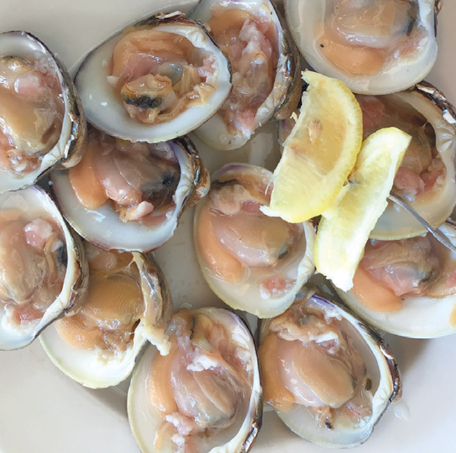 raw oysters