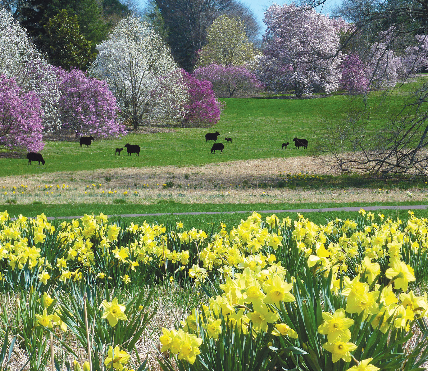 Morris Arboretum boasts 92 acres of gardens. Photo courtesy of Chestnut Hill Business District.